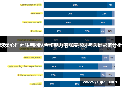 球员心理素质与团队合作能力的深度探讨与关键影响分析