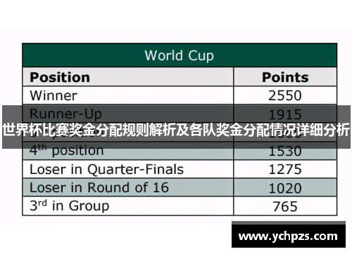 世界杯比赛奖金分配规则解析及各队奖金分配情况详细分析